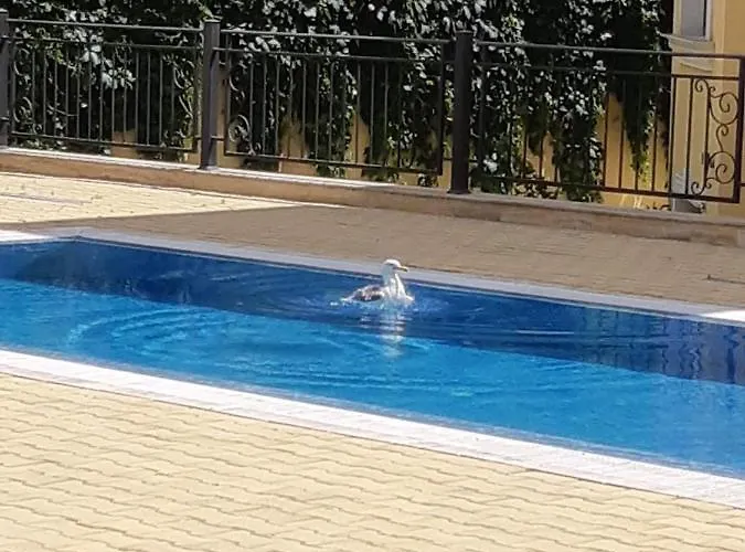 Apartamento Horizon Katrina - Sea Line & Access Sveti Vlas